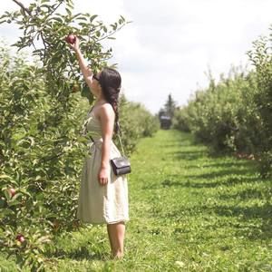 Meet your Posher, Cindy